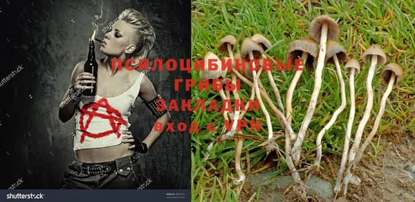 спайс Зеленокумск