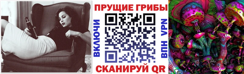 Галлюциногенные грибы Cubensis  Купить закладки  Валуйки 